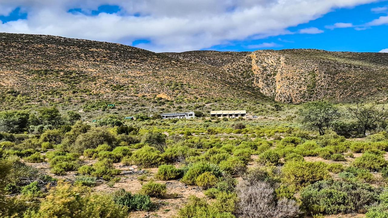 Rooiberg Wild Private Game Reserve Ladismith Exterior photo
